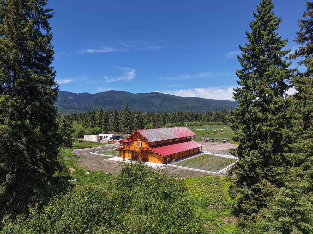 The barn in its setting, meadow and forest around it