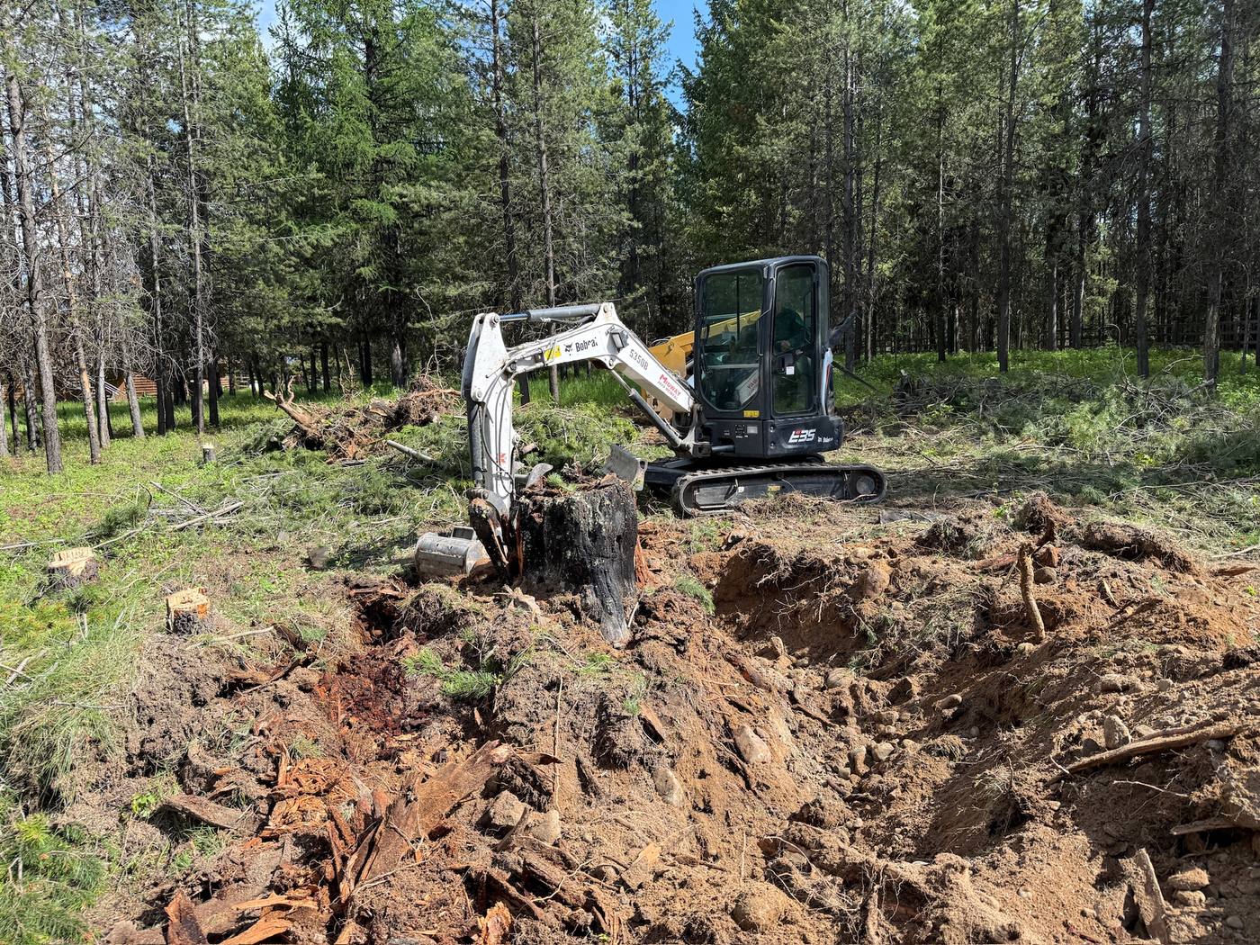 An excavator working a cleared slope, stumps and turned earth around it