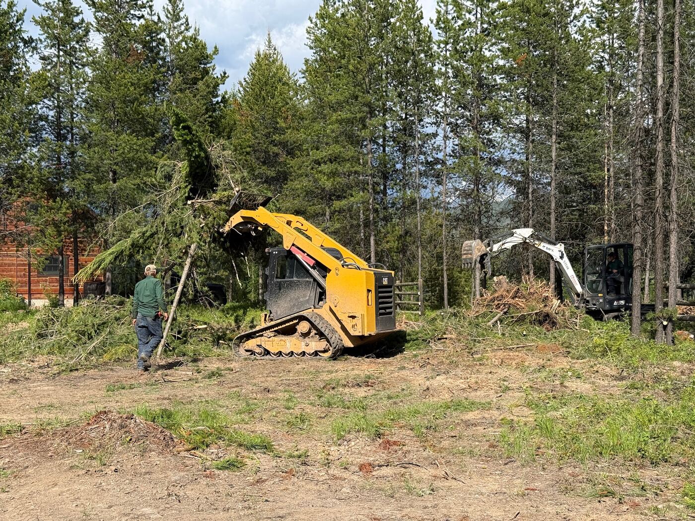 A track loader taking out a standing tree while a man works below with a saw