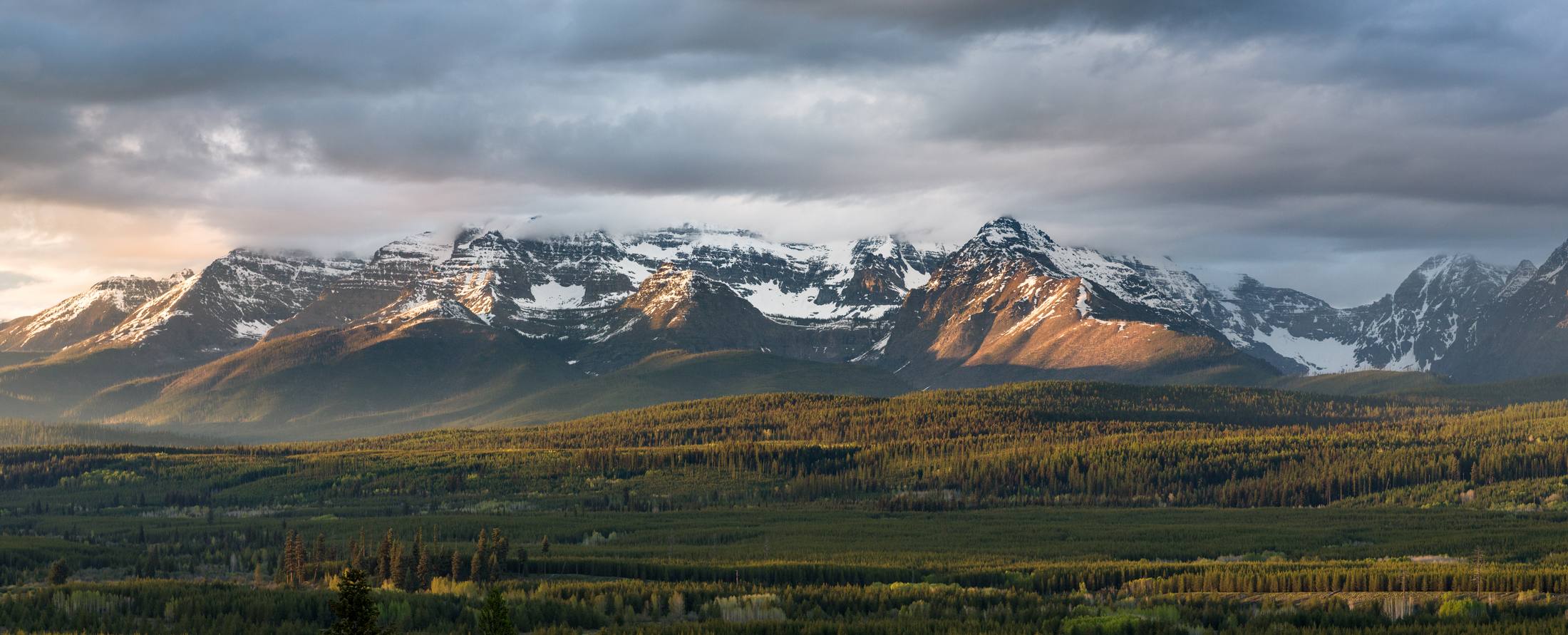 The Livingston Range at last light, snow on the peaks above dark forest